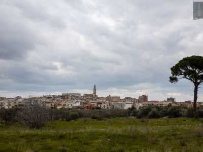 Palo del Colle e la sua piazza Santa Croce